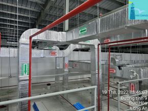 thi-cong-nha-may-dat-chuan-gmp-53.jpg